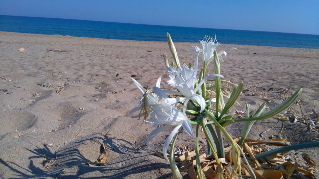 360 Panorama House - Gazing At Horizon And The Stars Of The Galaxy In The Night - Fresh Cool Breeze Most Of The Time - Just 7 Min From The Beach Kournás 외부 사진